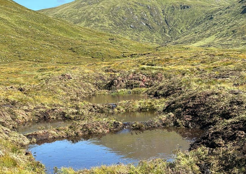 Peat Dams for Carbon Capture Carbon Capture using Peat Dams